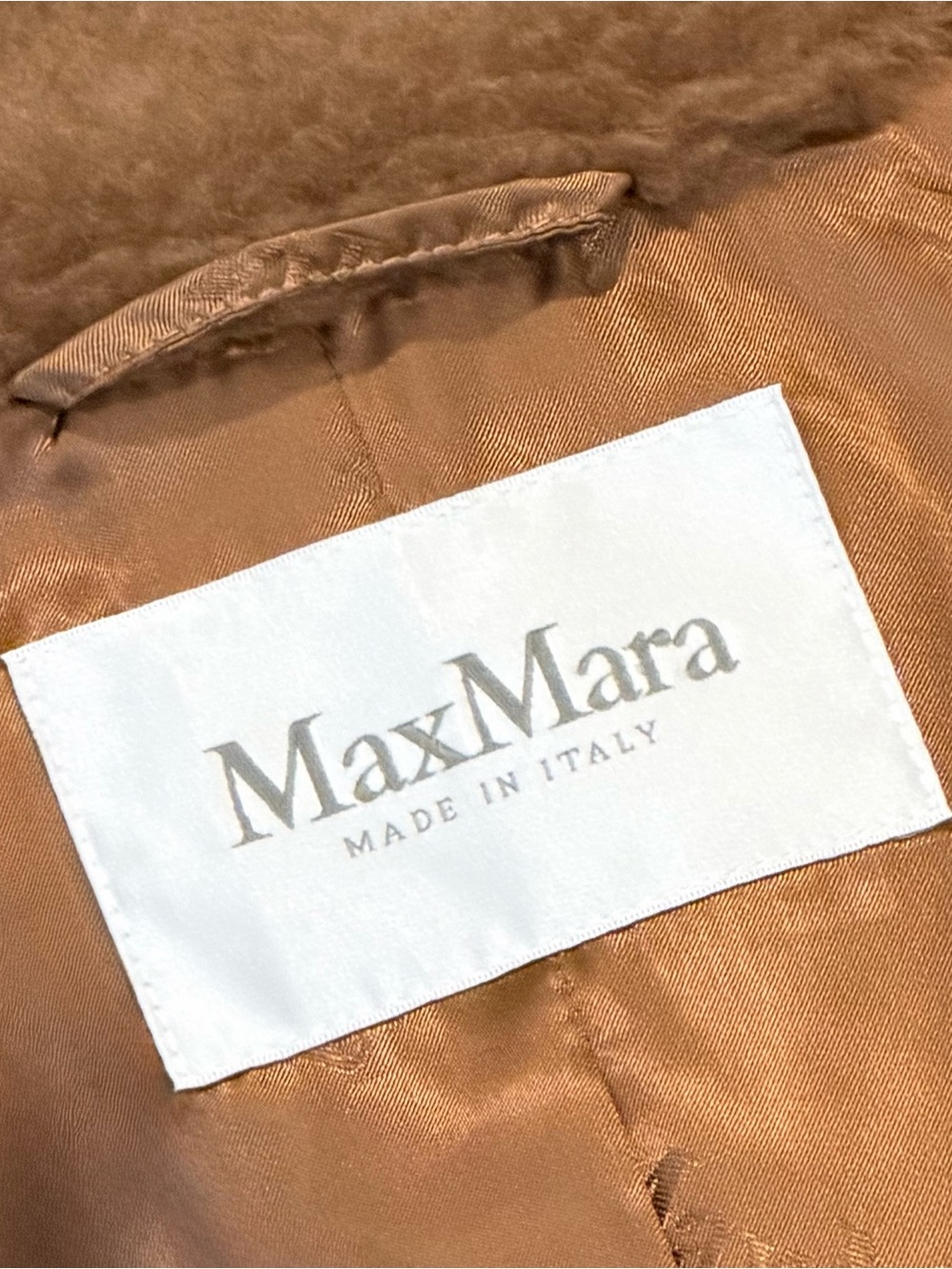 Max Mara Teddy Bear Icon Coat - image 5
